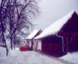 iarna